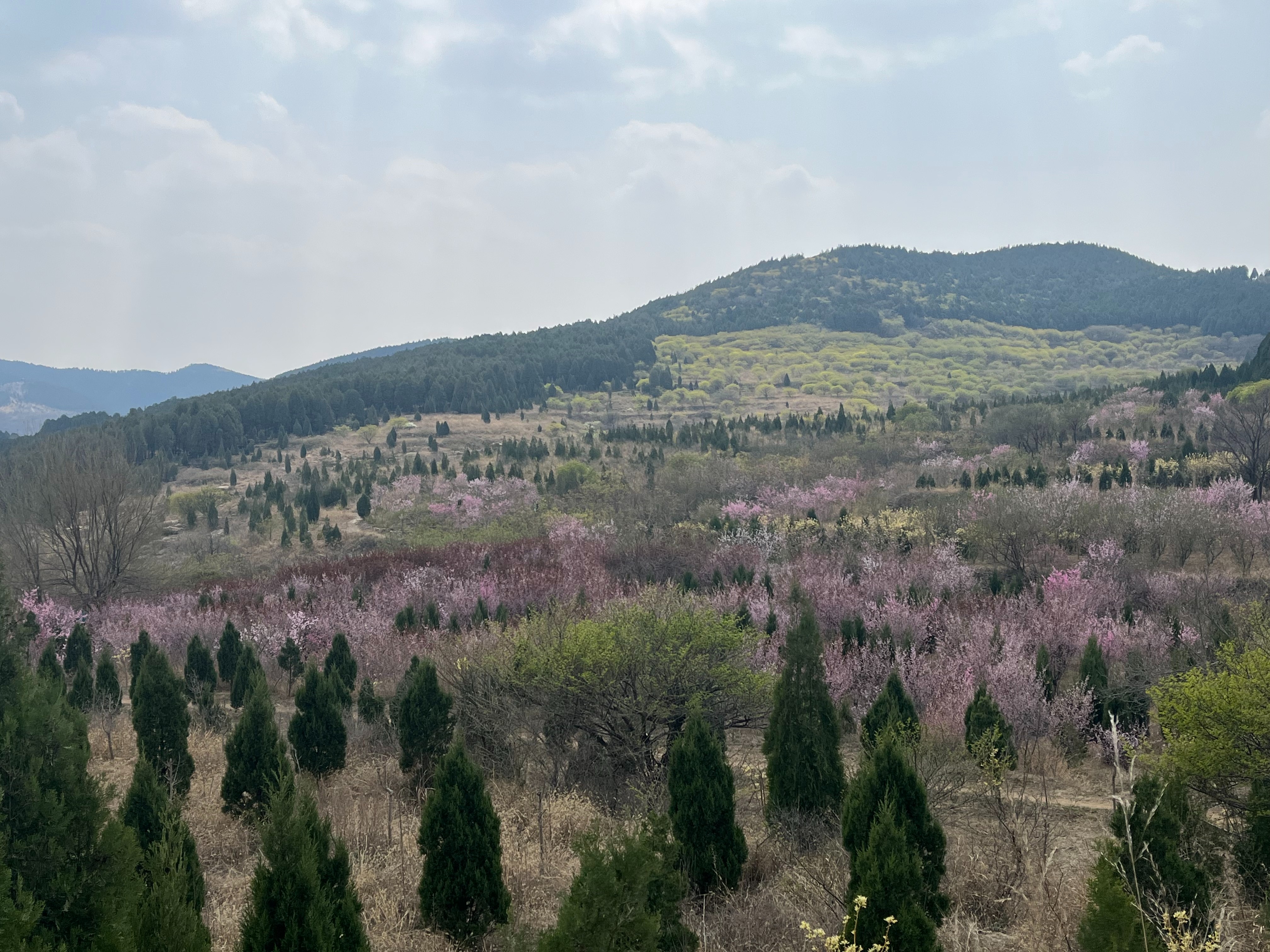 圖片關(guān)鍵詞